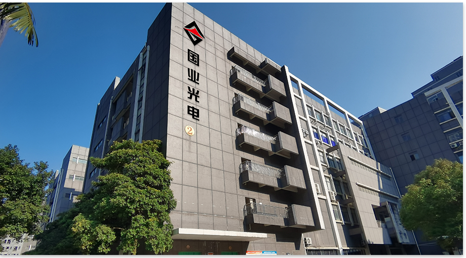 Shenzhen guoye optoelectronics 2024 год